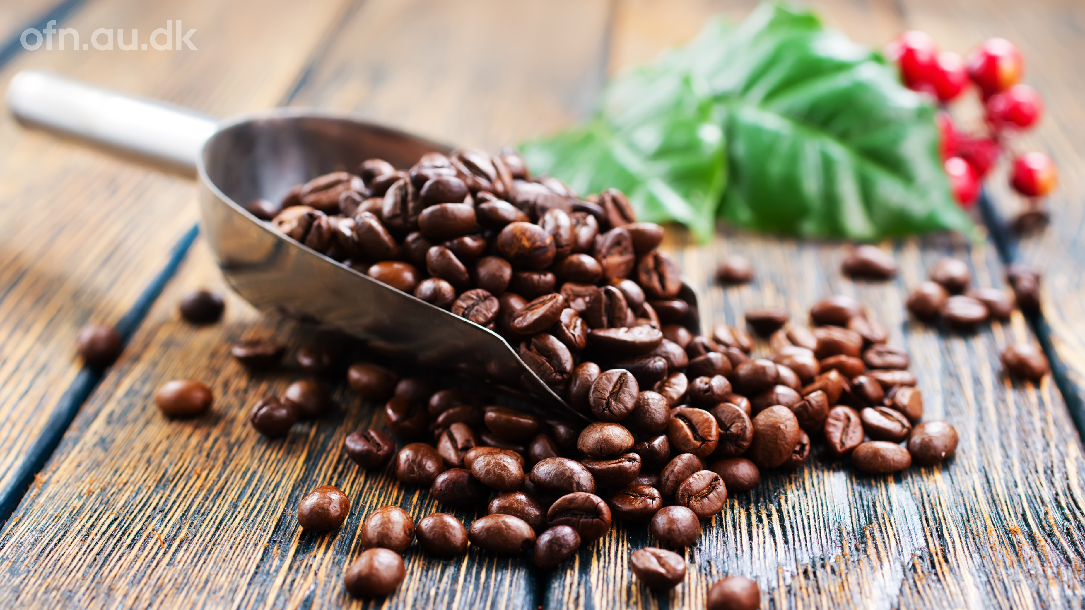 Kaffe