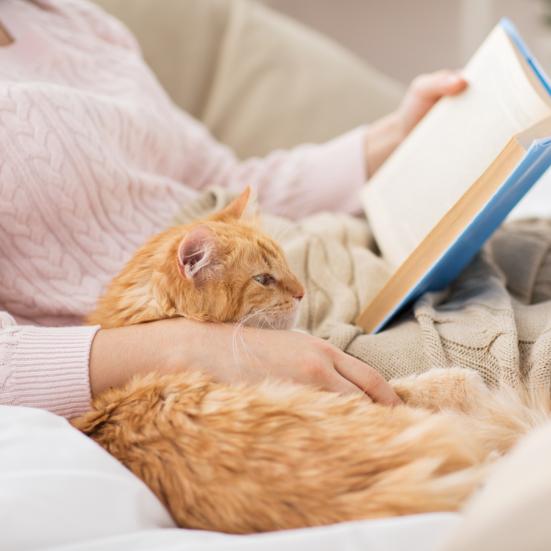 Kat og læsende kvinde