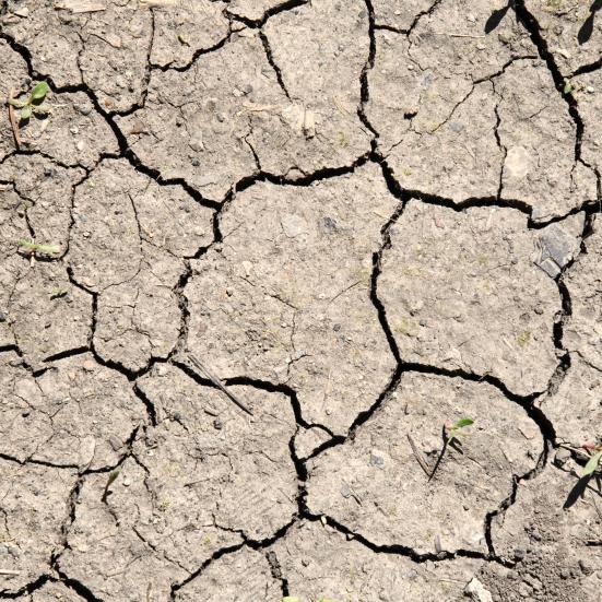 Tør jord