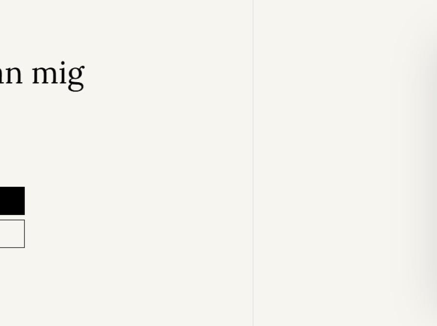 Eksempel på download fra eReolen