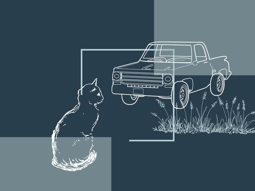 stregtegning af en kat og en bil