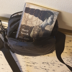Bogen i tasken